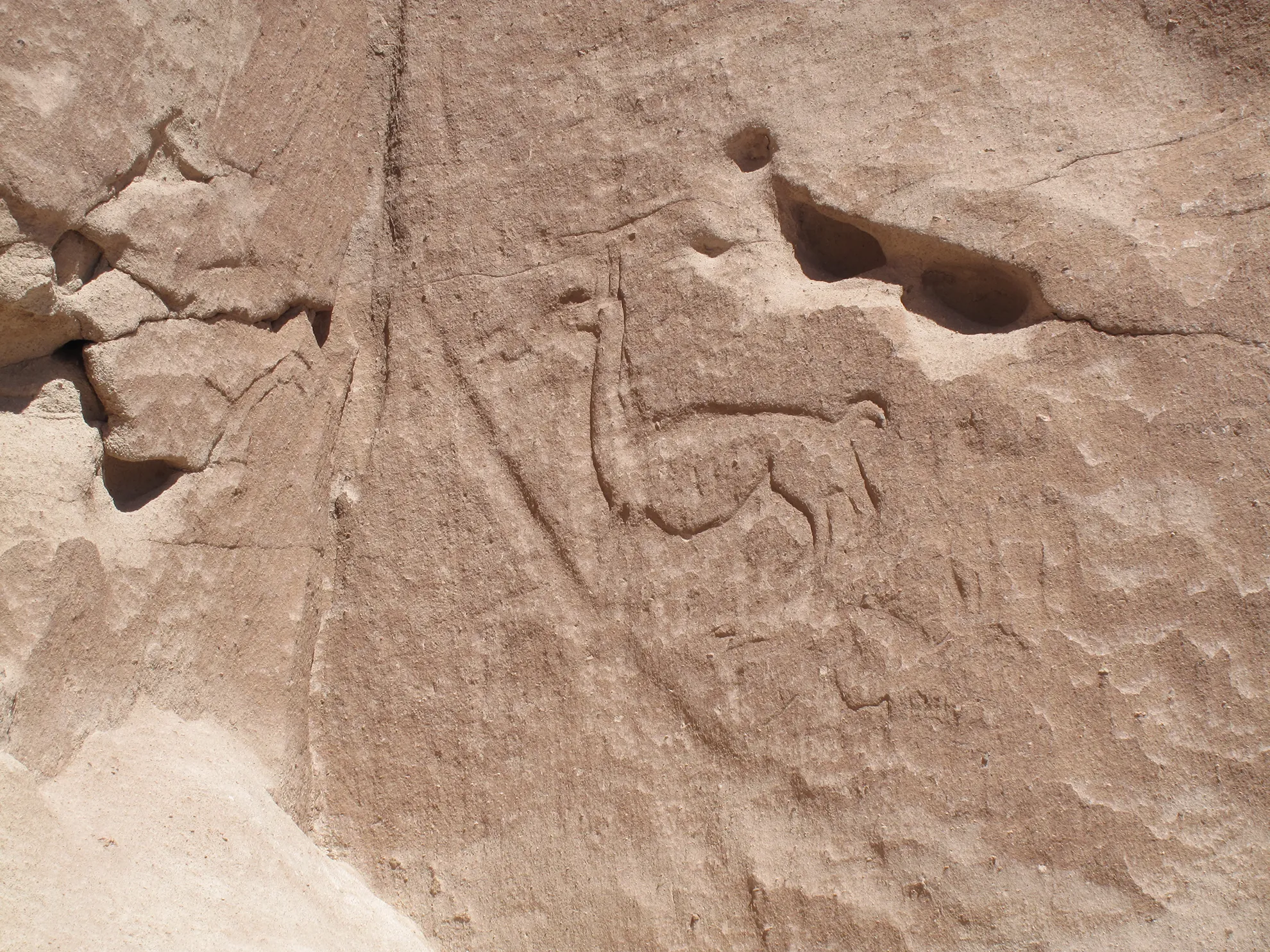 Petroglifo antiguo, parte del Patrimonio Arqueológico. La conservación es clave para la gestión cultural