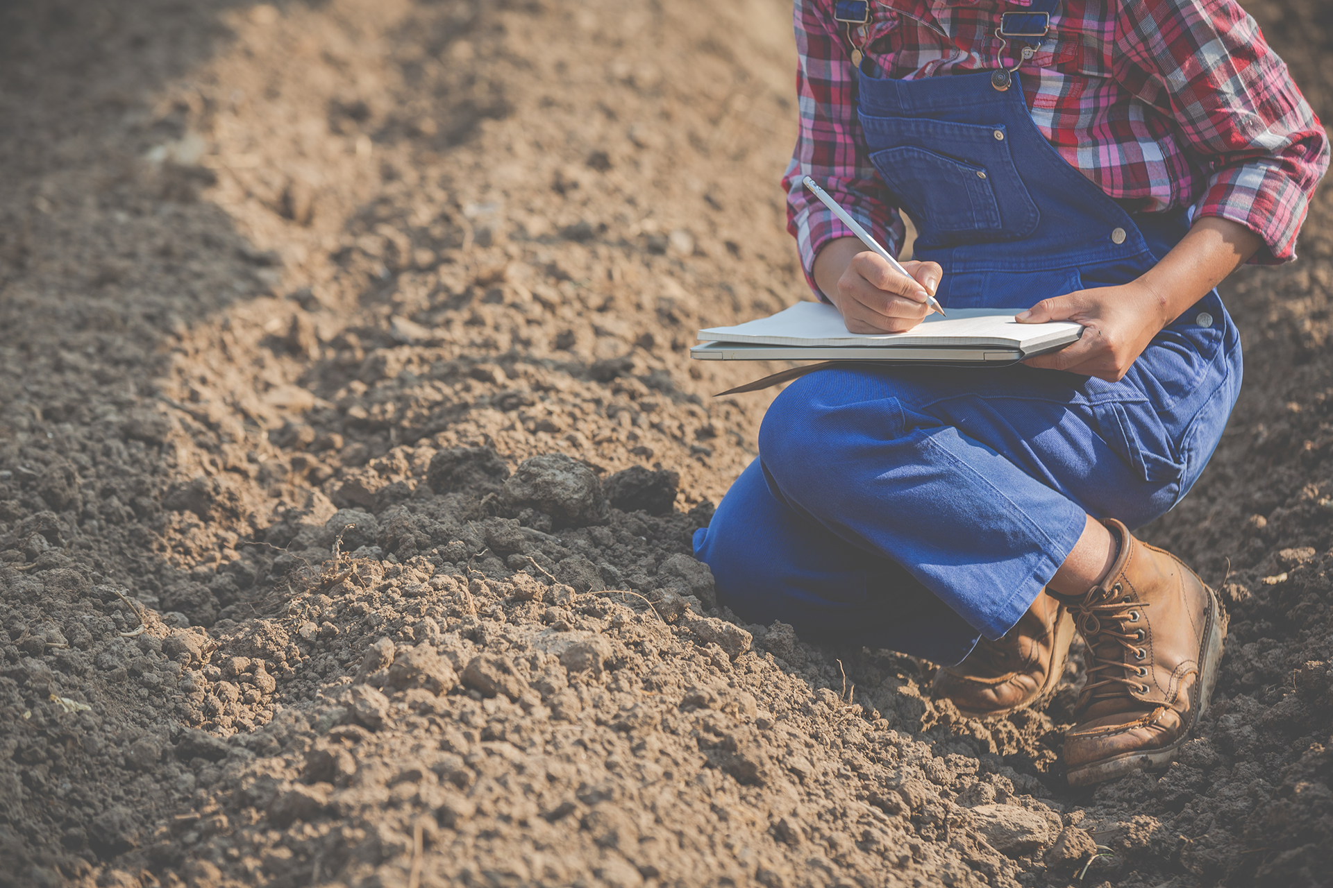 Especialista en trabajo de campo en suelo. Para Estudios técnicos y gestión del recurso suelo