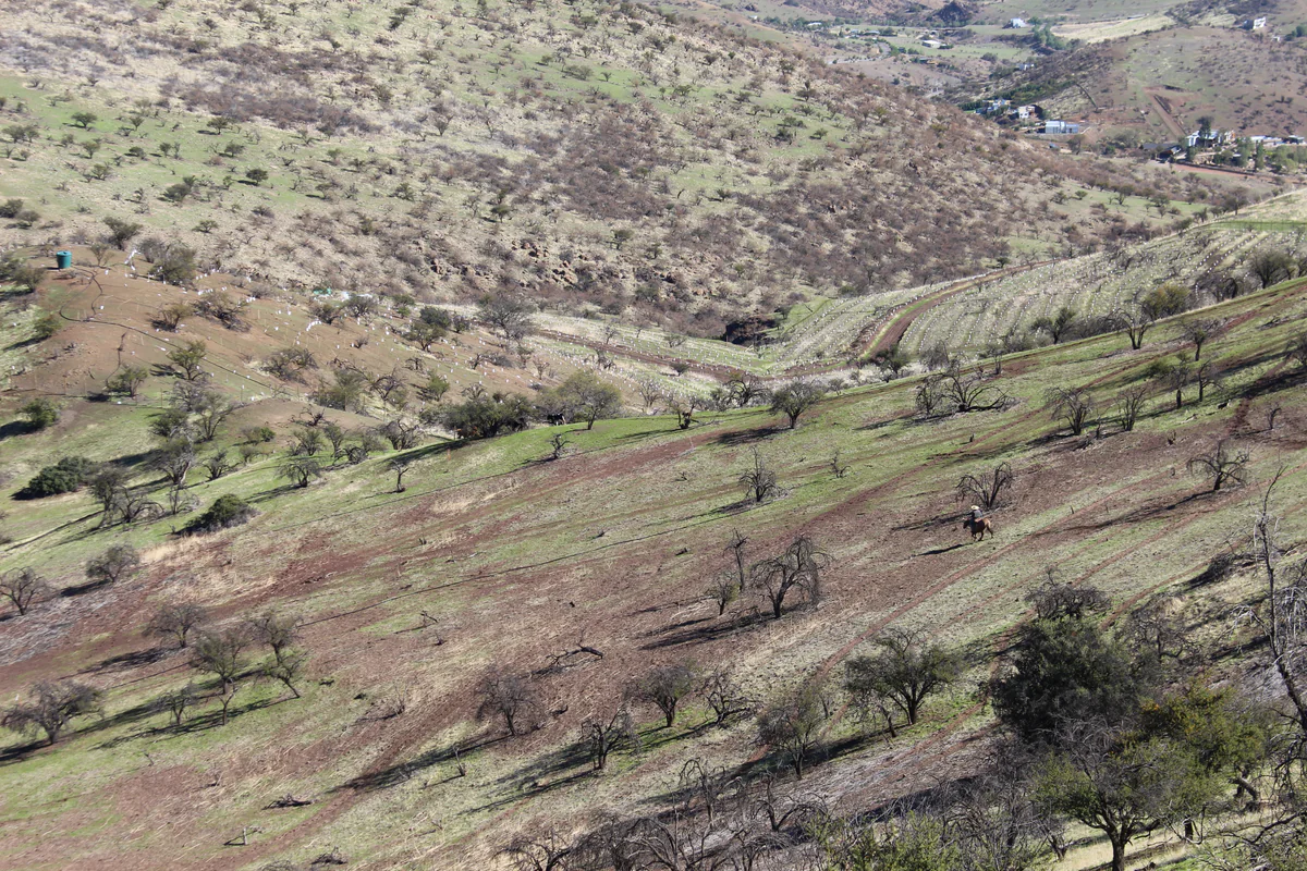 Territorio — Fundo Chacabuco