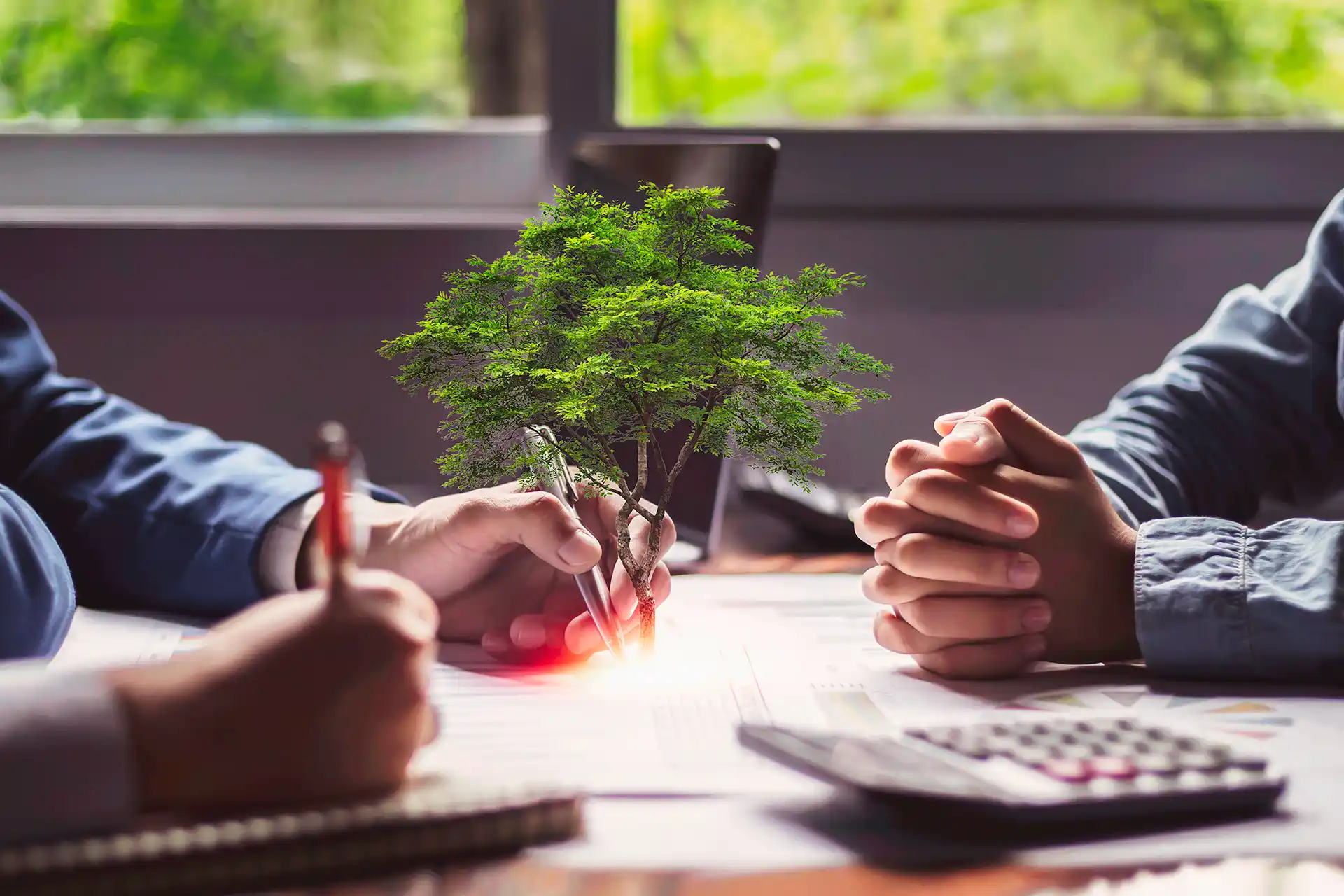 Área de Legal de ORBE