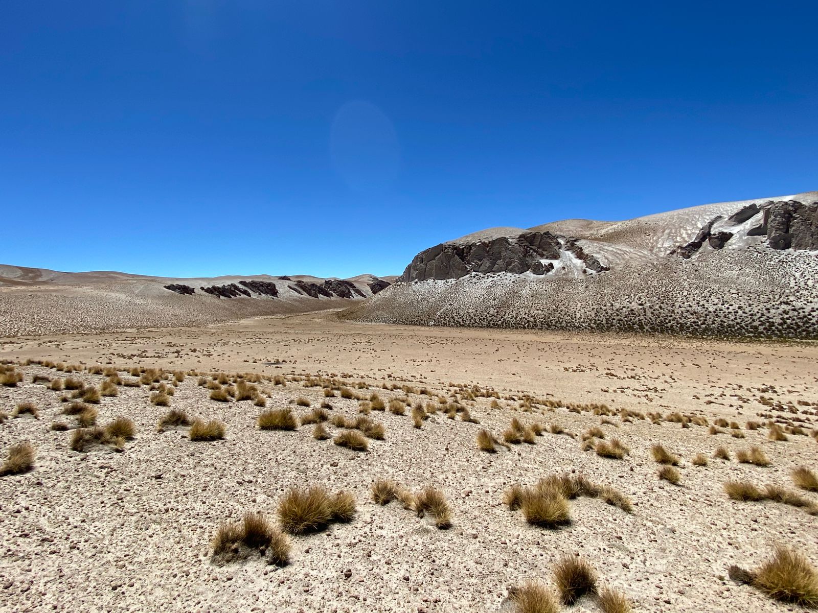 ORBE en los Bofedales