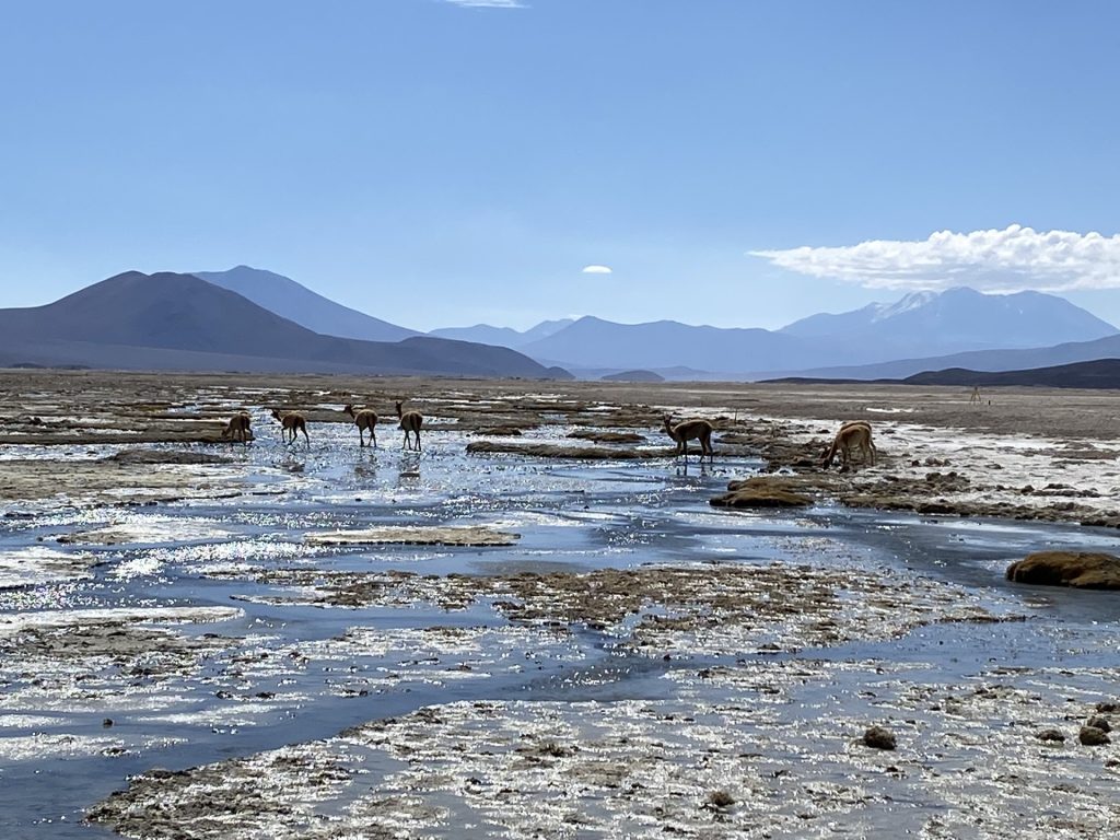 Comprometidos con el recurso más vital: Hitos de ORBE con el marco del agua
