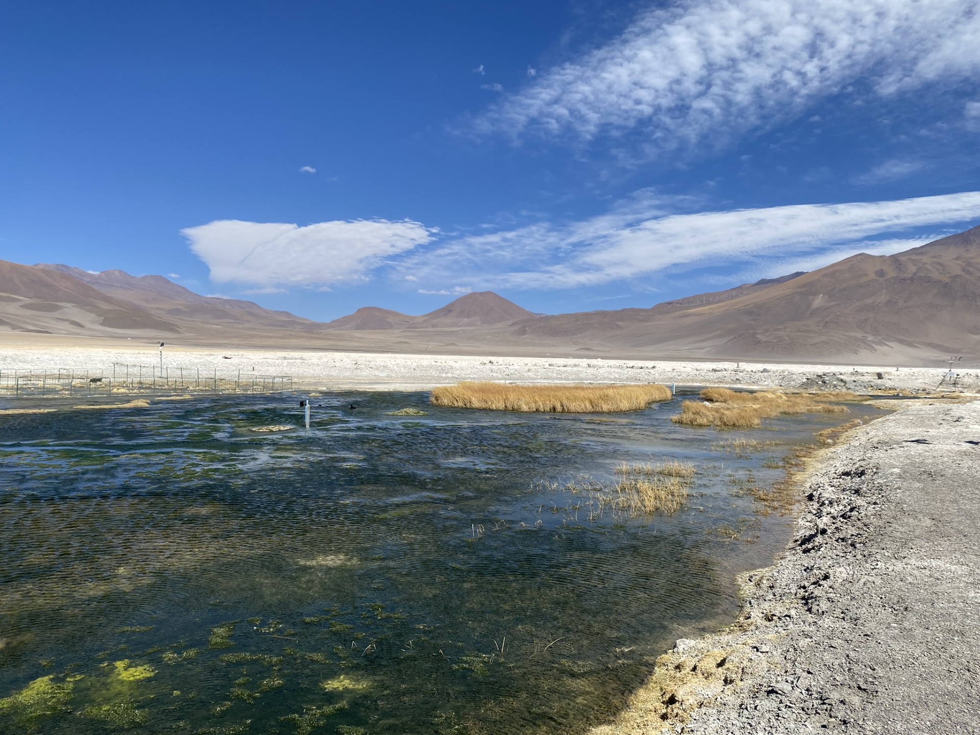 Comprometidos con el recurso más vital: Hitos de ORBE con el marco del agua
