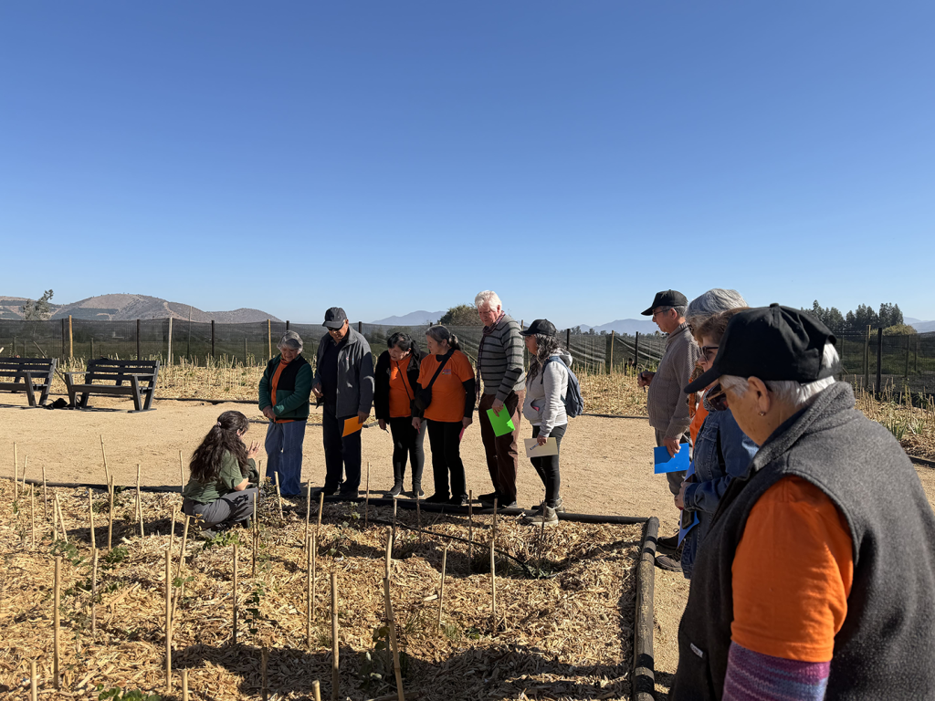 ORBE participa en nuevo taller de educación ambiental en Bosque de Bolsillo de María Pinto