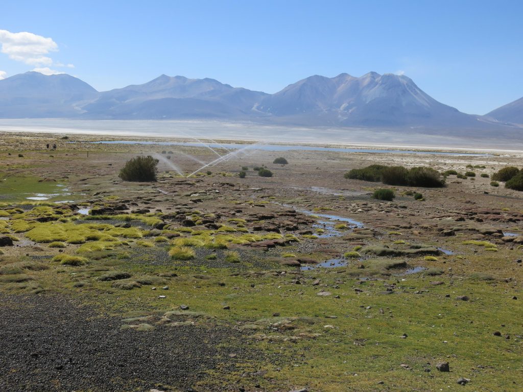 ORBE se adjudica importante contrato ambiental para Compañía Minera Doña Inés de Collahuasi