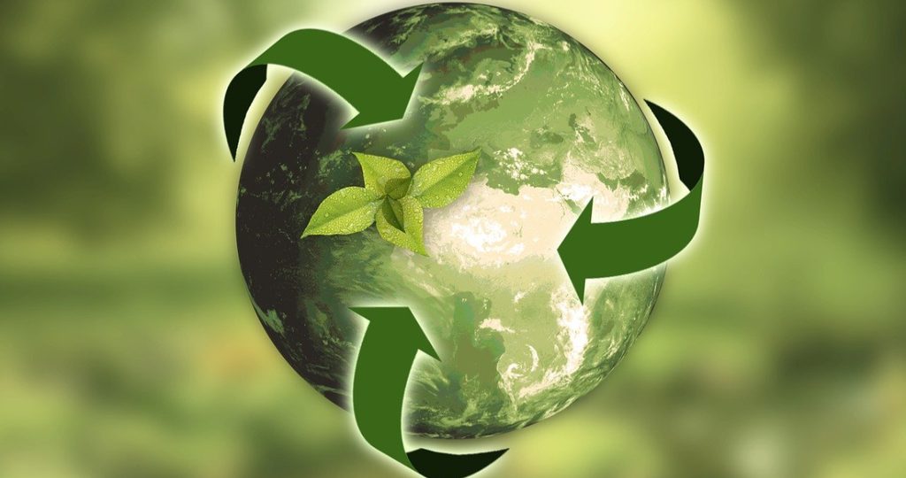 Comunicación Ambiental: Construyendo Puentes de Confianza en la Sostenibilidad
